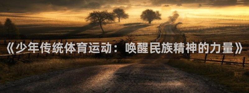 必一运动：《少年传统体育运动：唤醒民族精神的力量》
