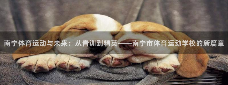 必一运动app：南宁体育运动与未来：从青训到精英——南宁市体育运动学校的新篇章