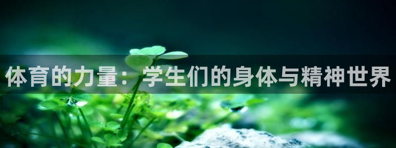 必一运动官网：体育的力量：学生们的身体与精神世界