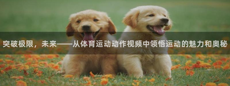 必一运动体育官网入口