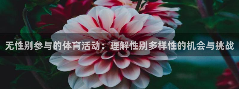 必一运动体育