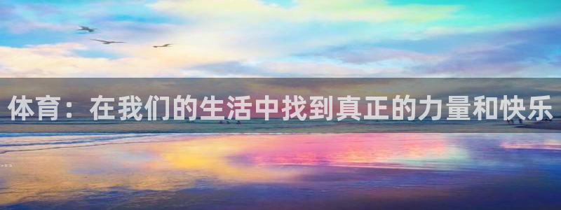 b体育必一运动官网
