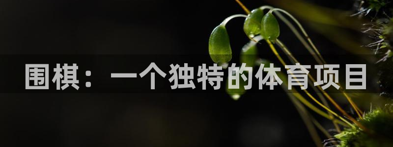 必一运动