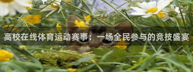 必一运动