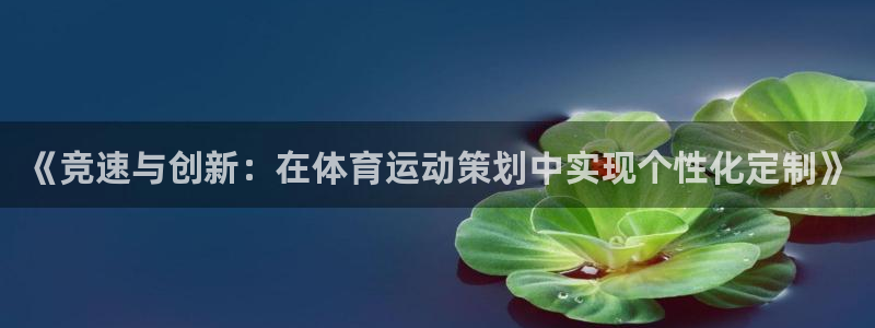 必一运动体育官网入口