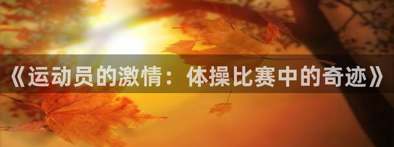 必一运动app