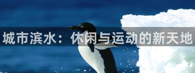 必一运动官网入口