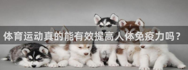 bsports官网 必一运动