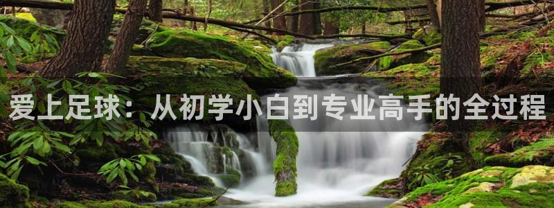 必一运动bsport体育