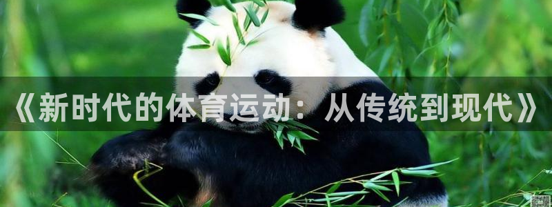 b体育必一运动官网：《新时代的体育运动：从传统到现代》
