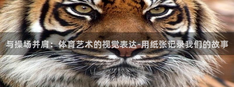 必一运动：与操场并肩：体育艺术的视觉表达-用纸张记录我们的故事